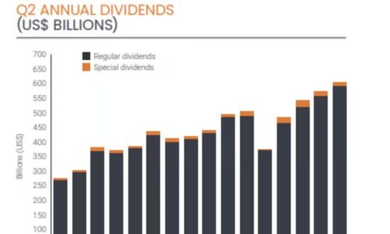 grafico dividendi