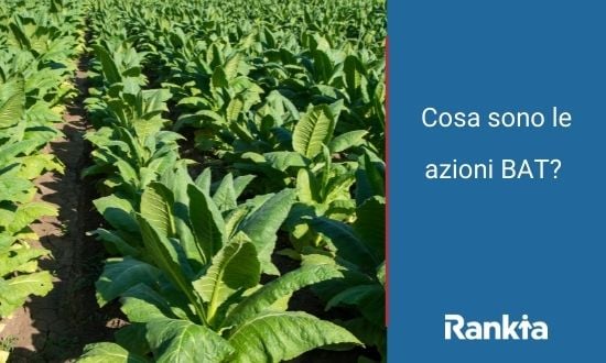 Piantagione di tabacco con testo su azioni BAT.