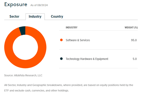 Global X Cybersecurity ETF esposizione industria