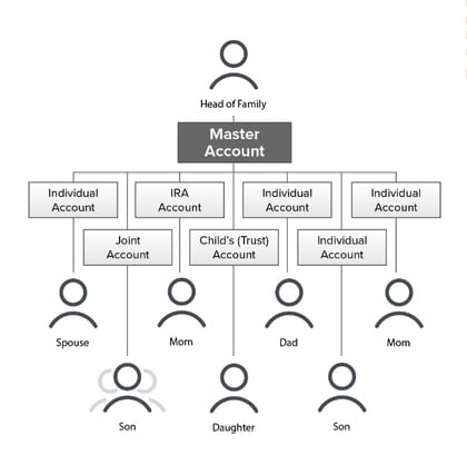 Spiegazione conto familiare in IBKR