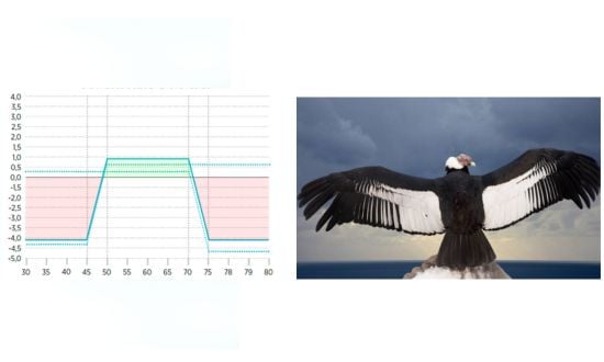 iron condor strategy