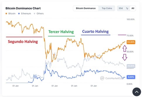 grafico del valore di Bitcoin rispetto al mercato delle criptovalute