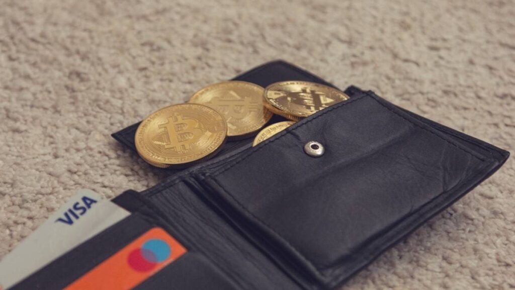 portafoglio con criptomonete