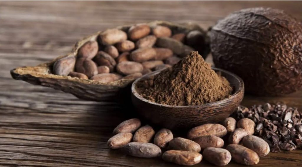 cacao in polvere 