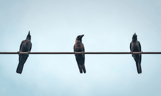 Come funziona il pattern dei tre corvi neri nel trading