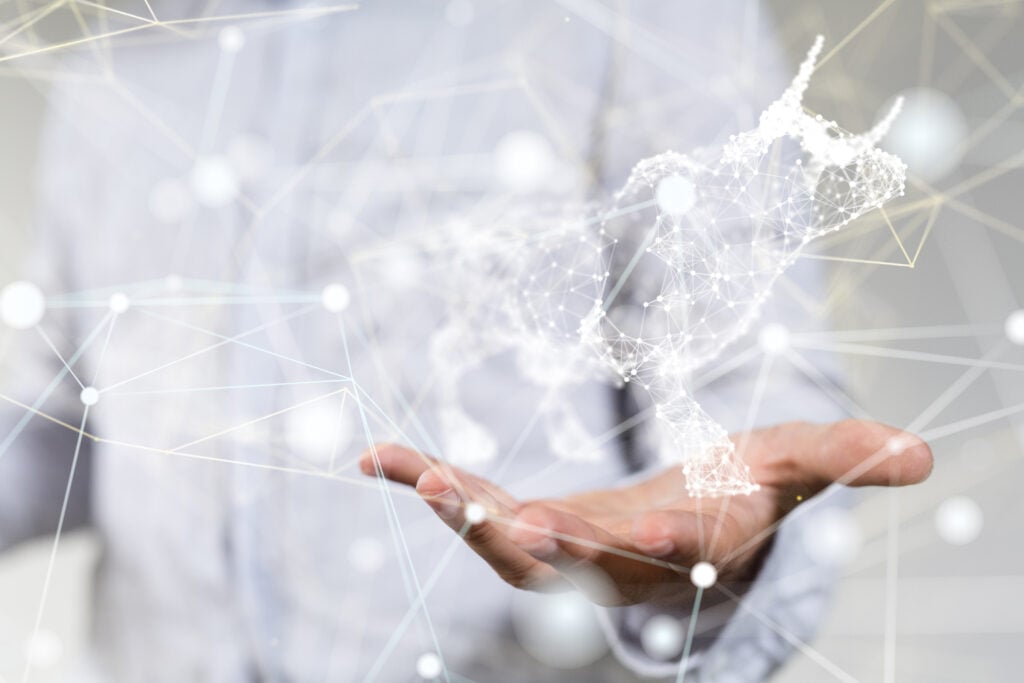 Fisher Investments Italia sull’euforia dei mercati