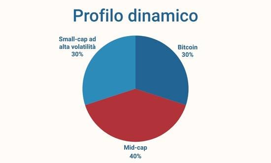 portafoglio crypto per profilo dinamico