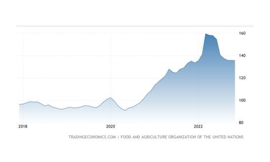 investire in materie prime