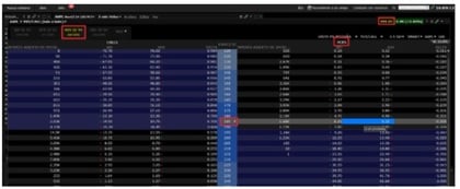 married-put-interactive-brokers