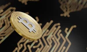 Image for Cosa sono gli exchange di criptovalute? Centralizzati vs decentralizzati