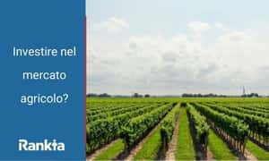 Image for Investire nel mercato agricolo?